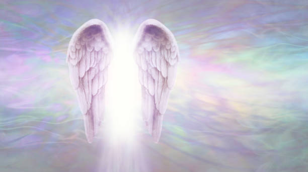 ツインレイとエンジェル ナンバー「444」天使の羽