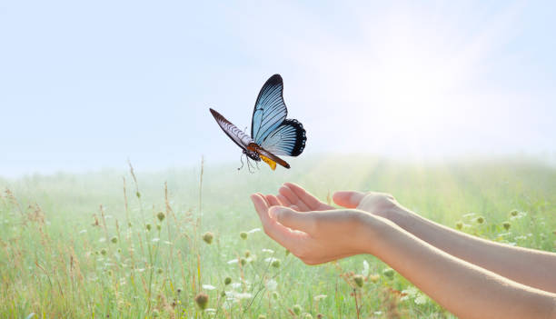 女性の手から飛び立つアゲハ蝶