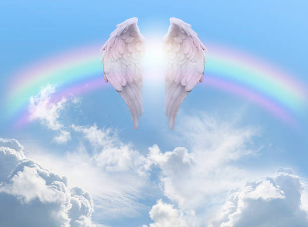 天使の羽と虹