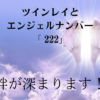 ツインレイと エンジェルナンバー「 222」タイトル