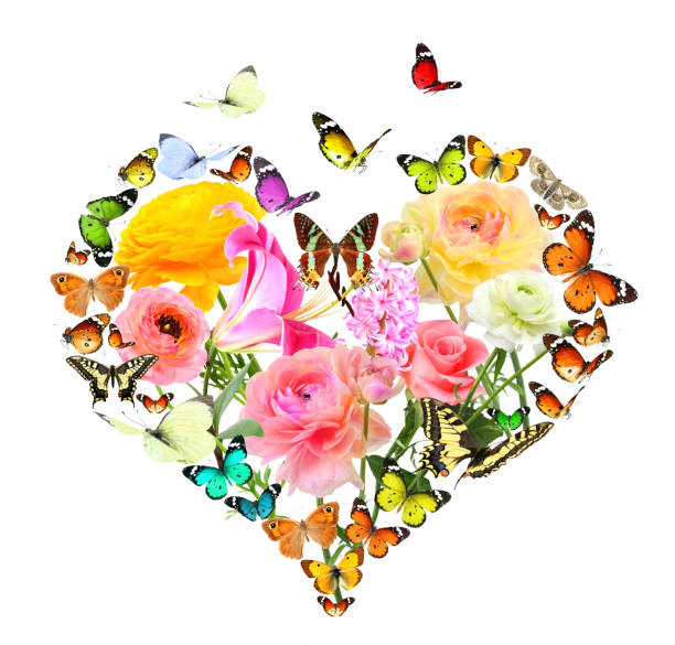 花びらと蝶でできているハート